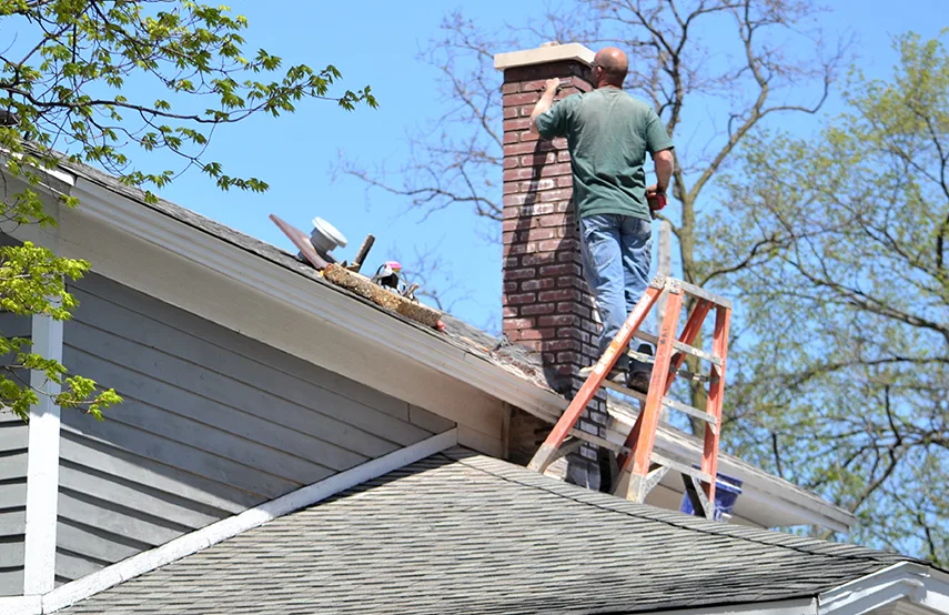 Chimney & Fireplace Inspections Services in Troy, MI